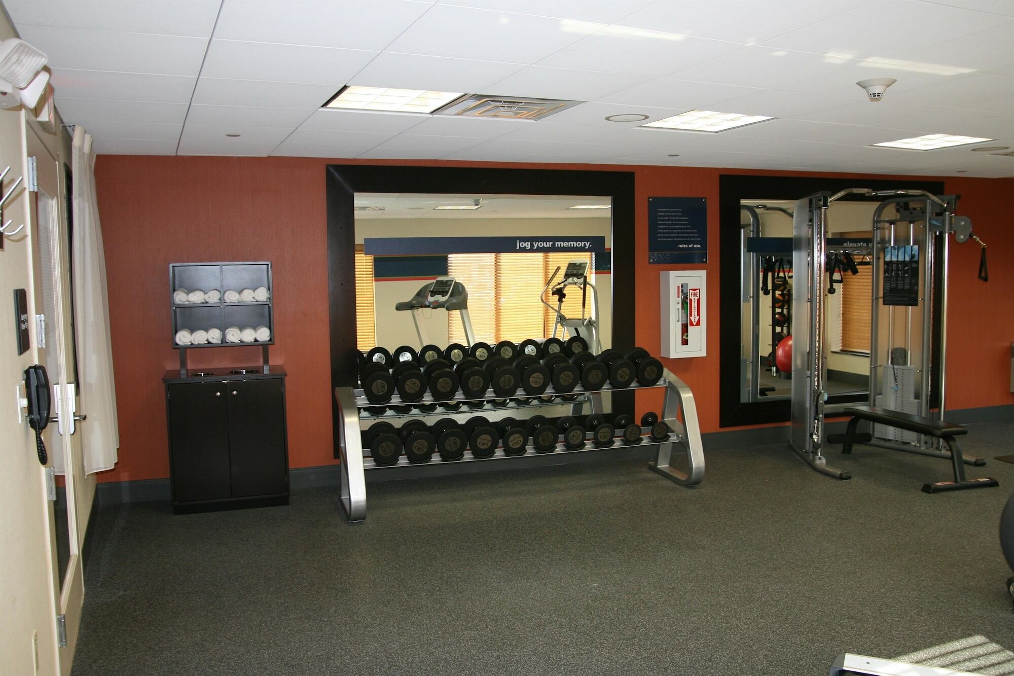 Hampton Inn Jericho - Westbury Facilități foto