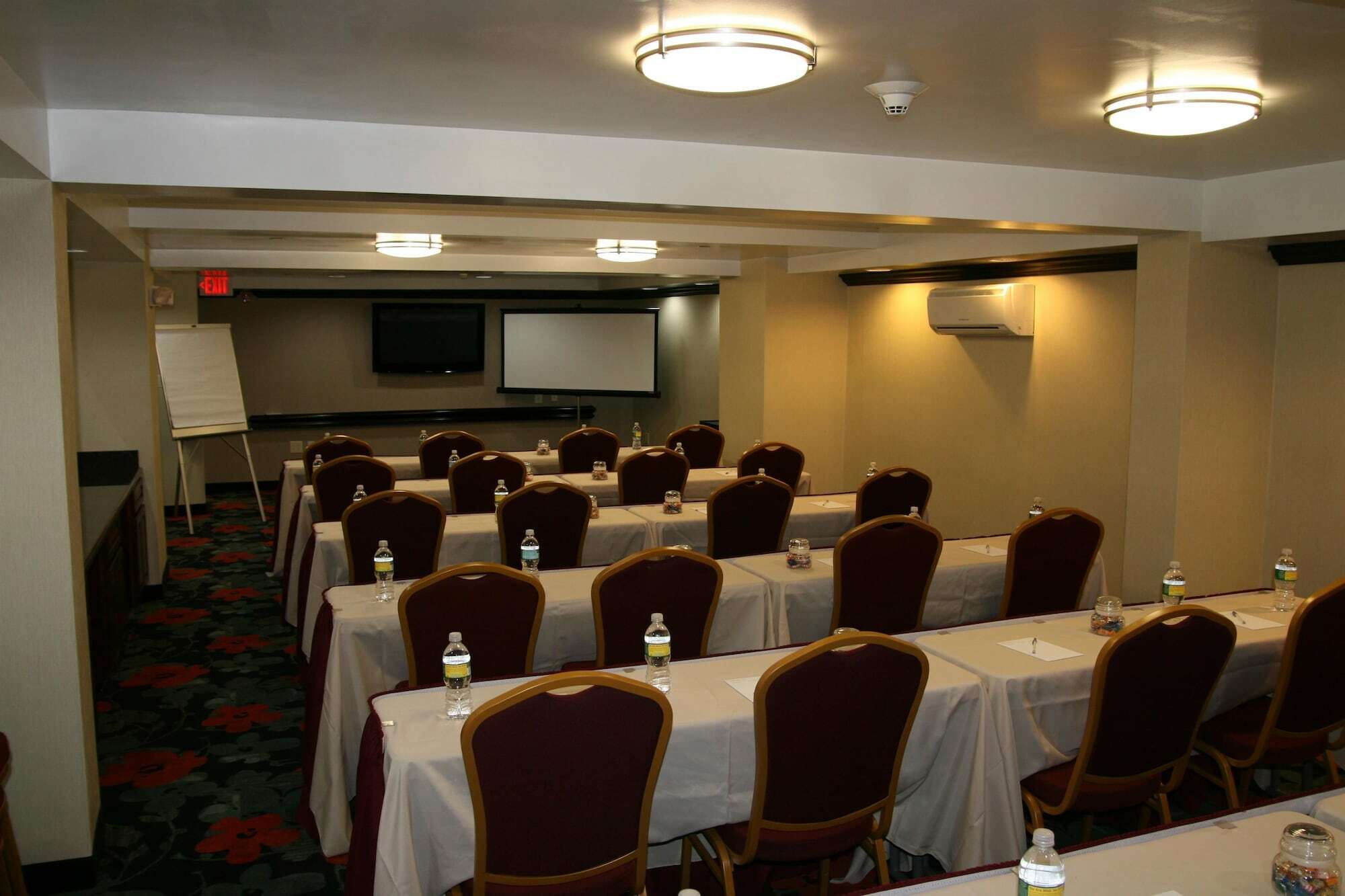 Hampton Inn Jericho - Westbury Facilități foto