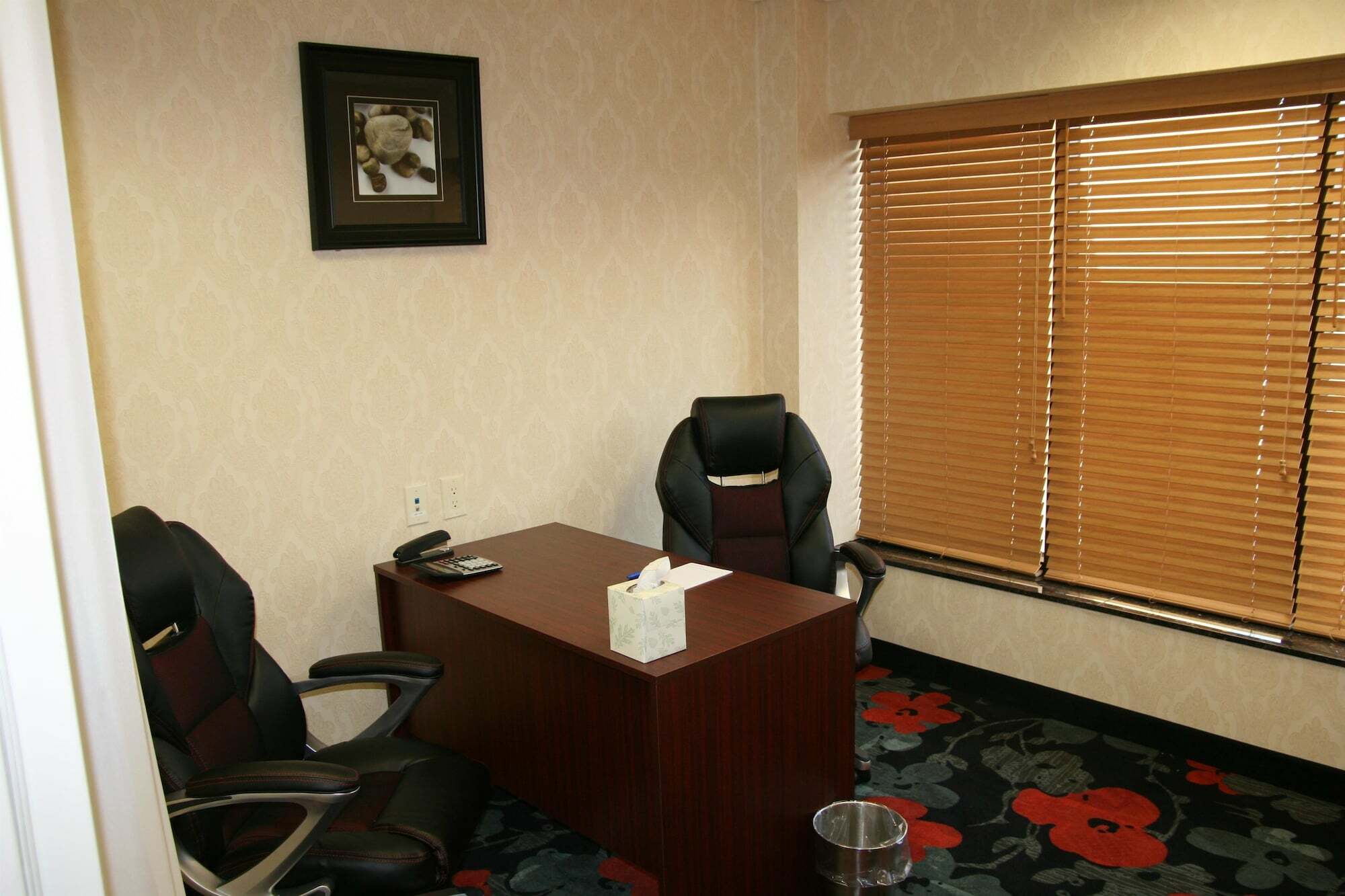 Hampton Inn Jericho - Westbury Facilități foto